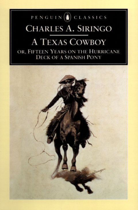 Cover image for book A Texas Cowboy