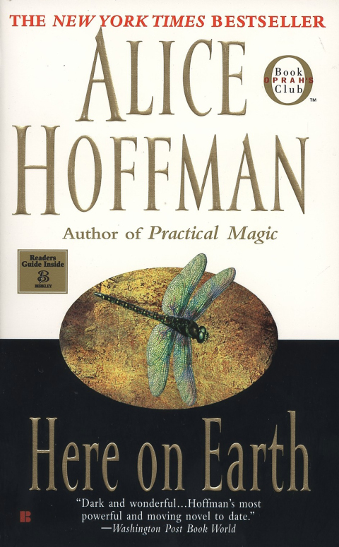 Cover image for book Here on Earth