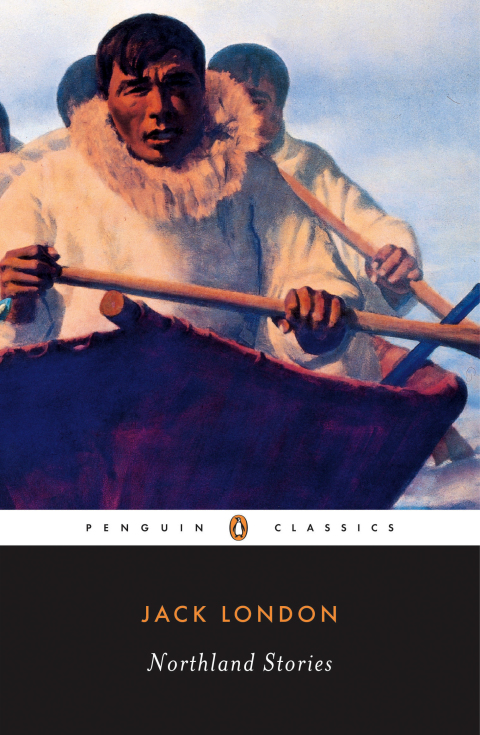 Cover image for book Northland Stories