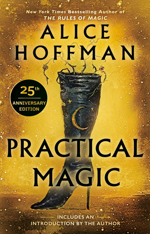 Cover image for book Practical Magic