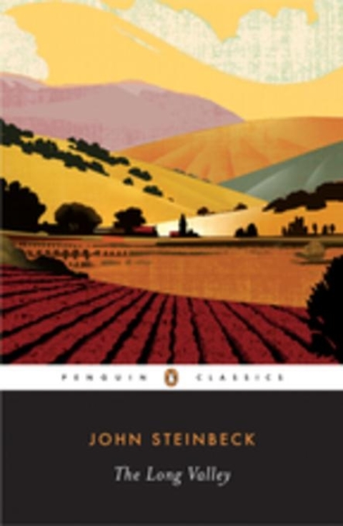 Cover image for book The Long Valley