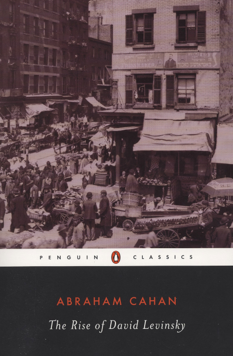 Cover image for book The Rise of David Levinsky