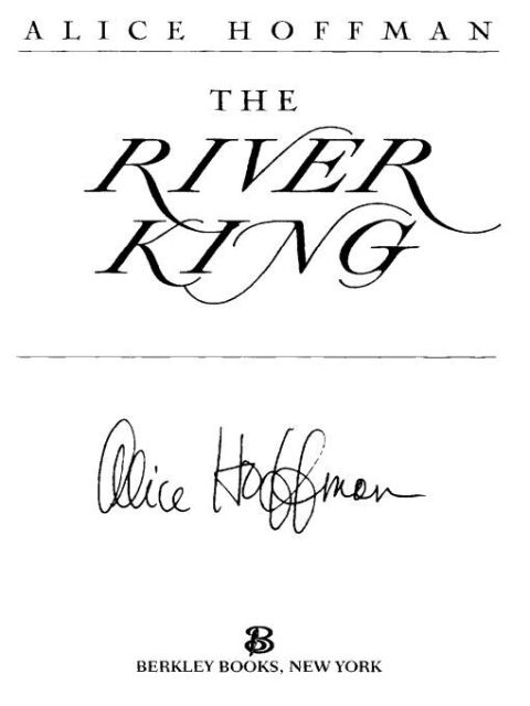 Cover image for book The River King