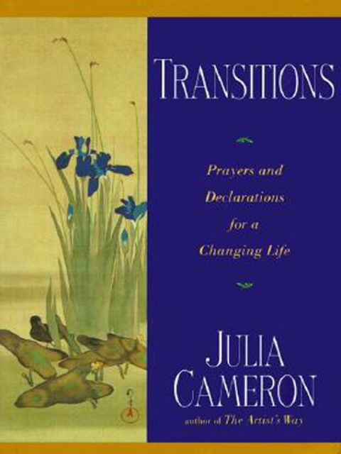 Cover image for book Transitions