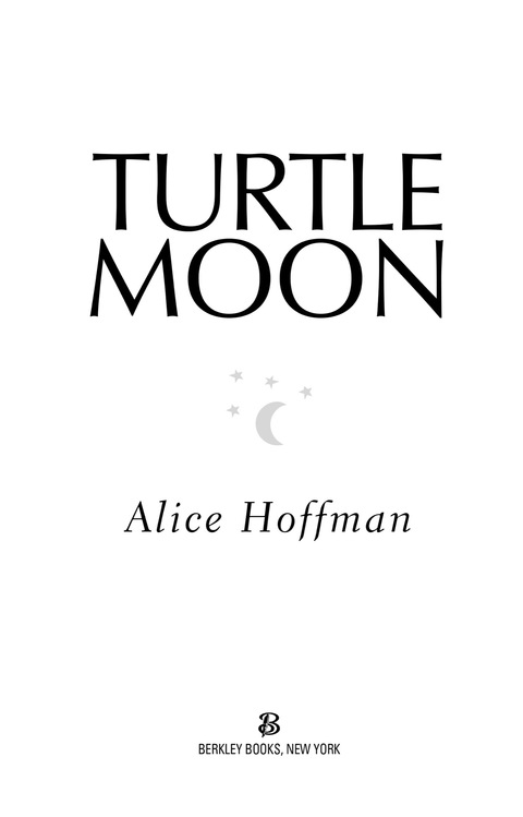 Cover image for book Turtle Moon