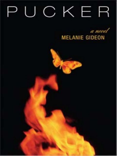 Cover image for book Pucker