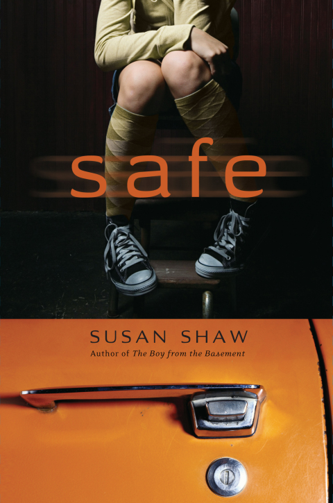 Cover image for book Safe