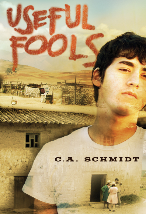 Cover image for book Useful Fools