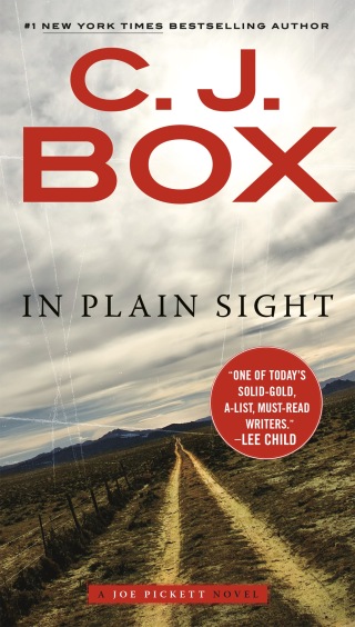 In Plain Sight