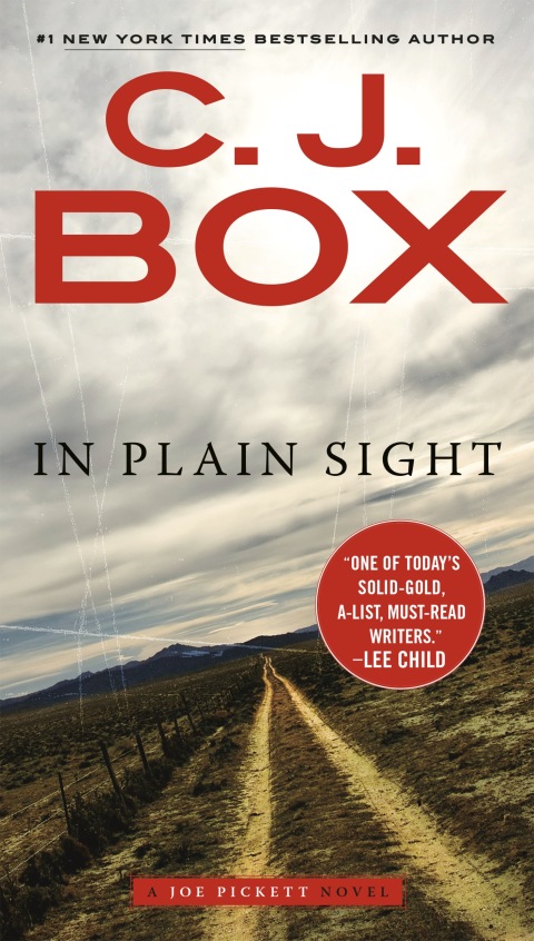Cover image for book In Plain Sight
