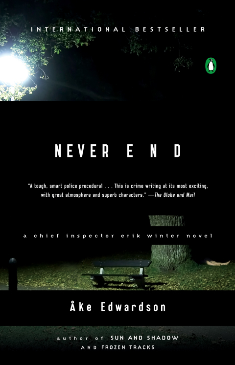 Cover image for book Never End