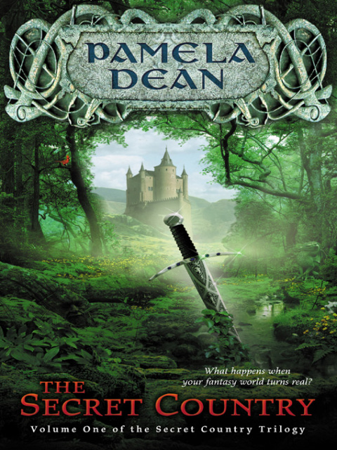 Cover image for book The Secret Country