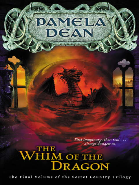 Cover image for book The Whim of the Dragon