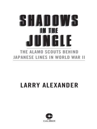 Shadows in the Jungle