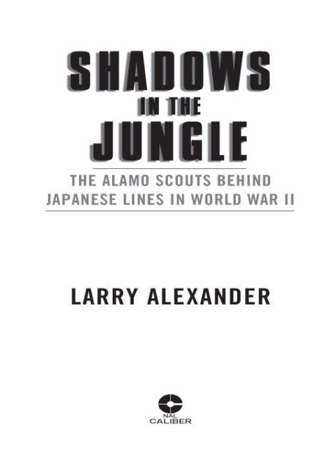 Cover image for book Shadows in the Jungle