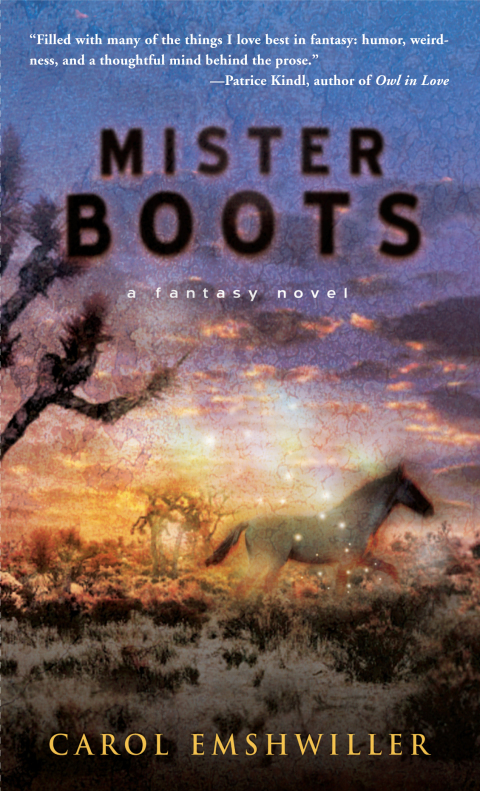 Cover image for book Mister Boots