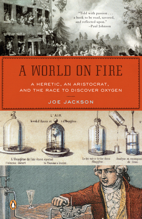 Cover image for book A World on Fire