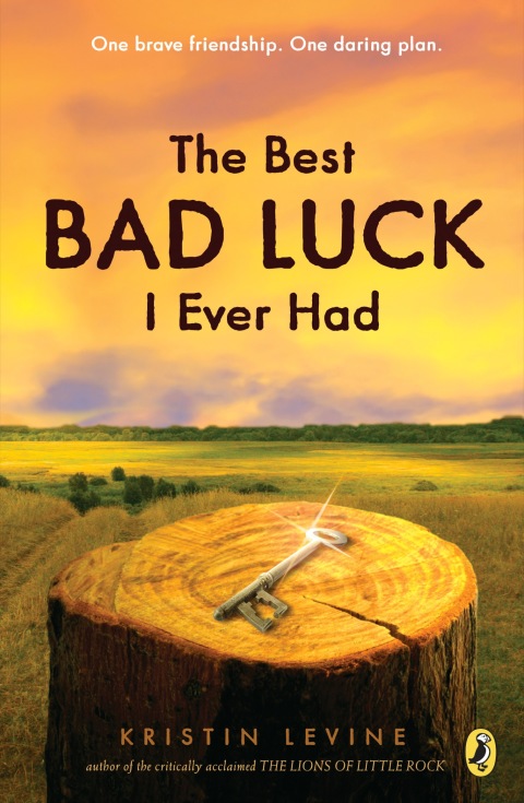 Cover image for book The Best Bad Luck I Ever Had