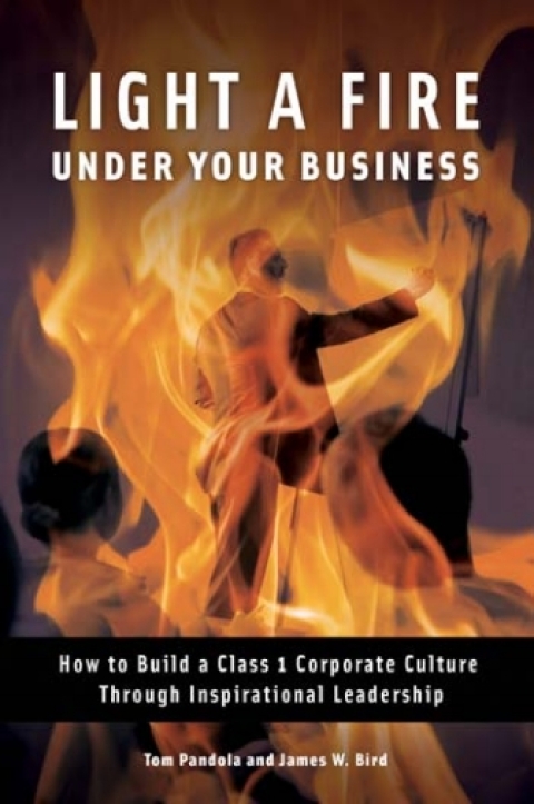 Cover image for book Light a Fire Under Your Business: How to Build a Class 1 Corporate Culture Through Inspirational Leadership