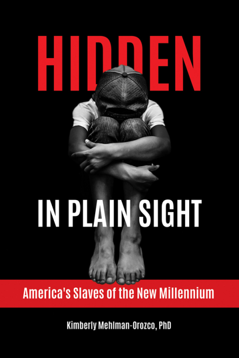 Cover image for book Hidden in Plain Sight