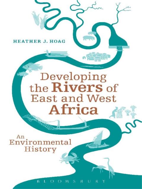 Cover image for book Developing the Rivers of East and West Africa
