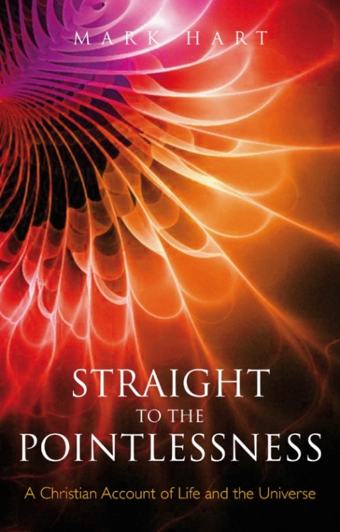 Cover image for book Straight to the Pointlessness