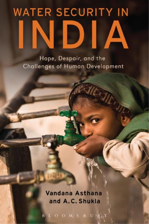 Cover image for book Water Security in India