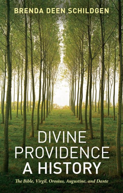 Cover image for book Divine Providence: A History