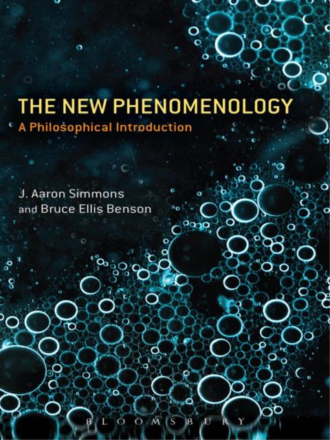 Cover image for book The New Phenomenology