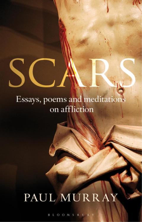 Cover image for book Scars