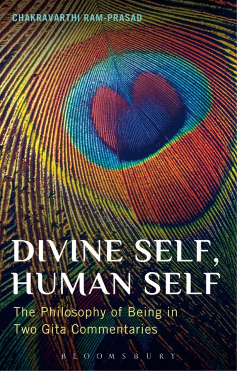 Cover image for book Divine Self, Human Self