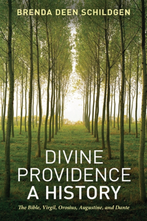 Cover image for book Divine Providence: A History