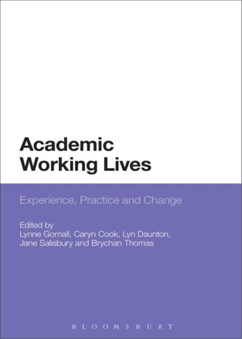 Cover image for book Academic Working Lives