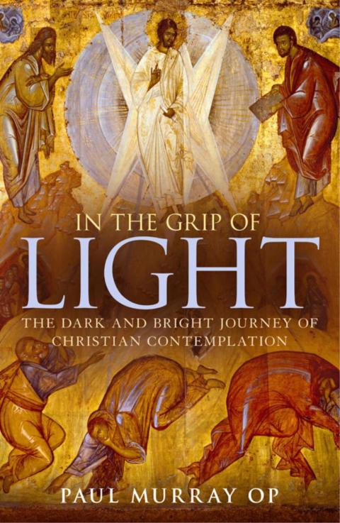 Cover image for book In the Grip of Light