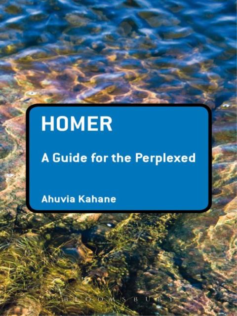 Cover image for book Homer: A Guide for the Perplexed