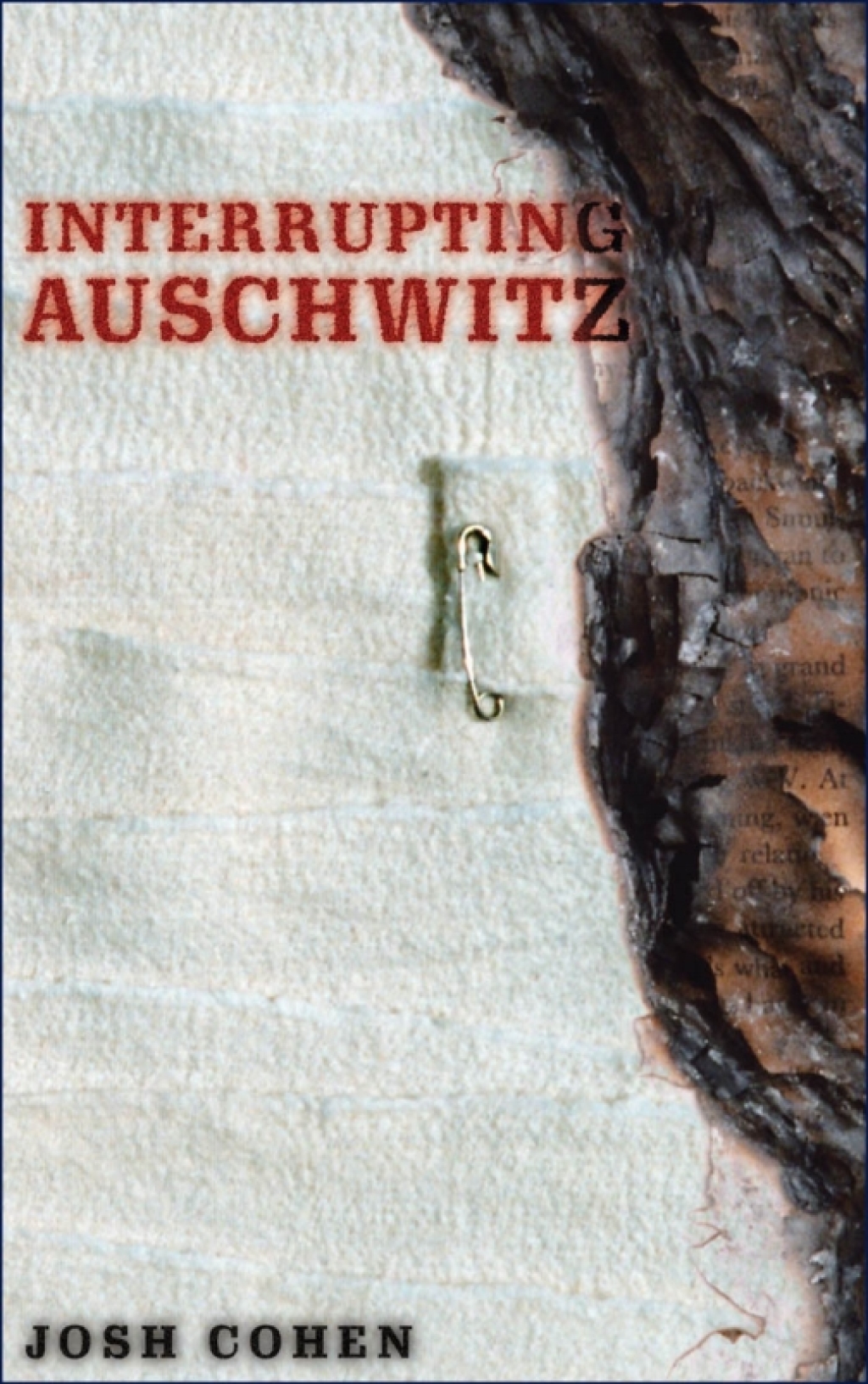 Interrupting Auschwitz - 1st Edition (eBook)