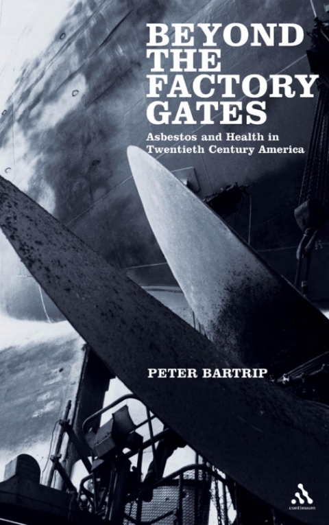 Cover image for book Beyond the Factory Gates