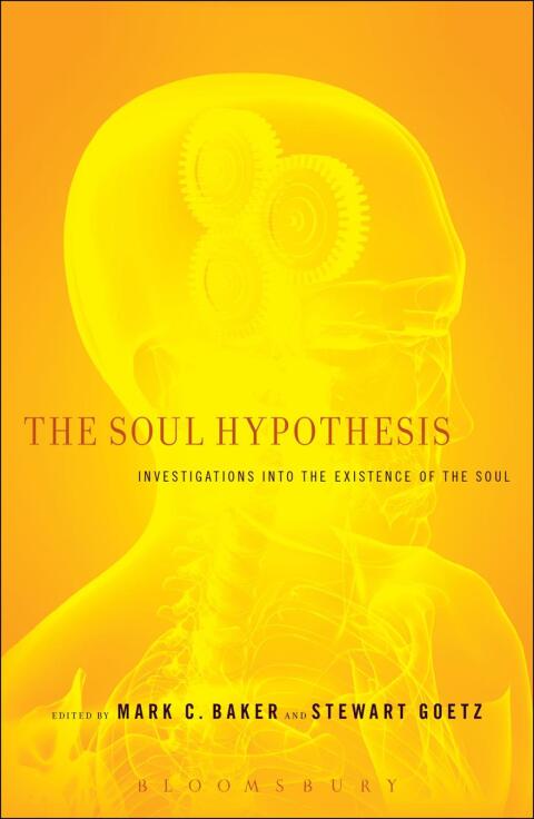 The Soul Hypothesis 