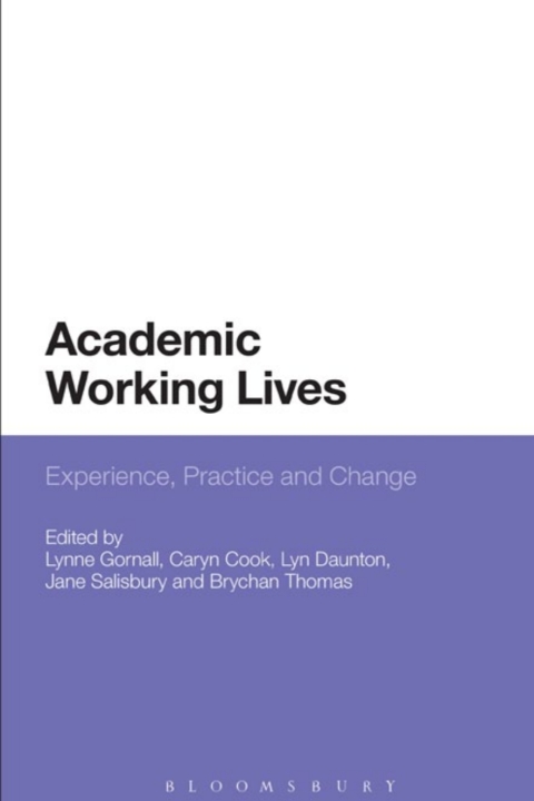 Cover image for book Academic Working Lives