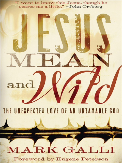 Cover image for book Jesus Mean and Wild