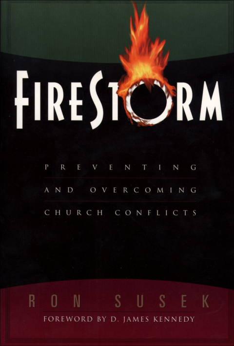 Cover image for book Firestorm