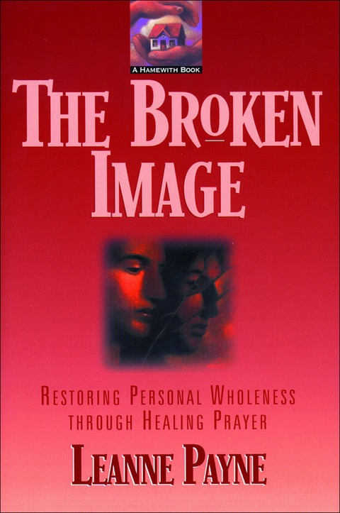 Cover image for book The Broken Image