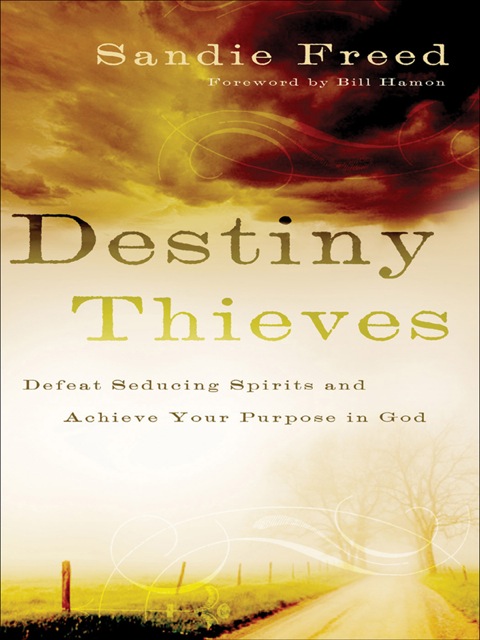 Cover image for book Destiny Thieves