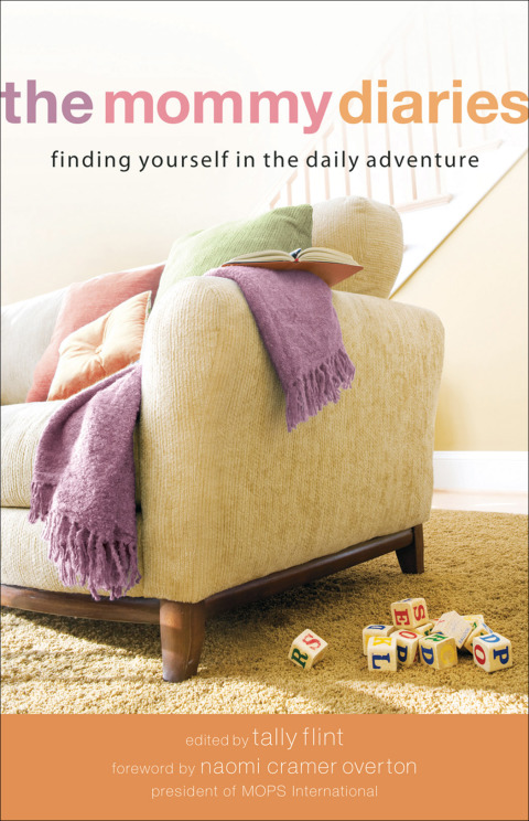 Cover image for book The Mommy Diaries