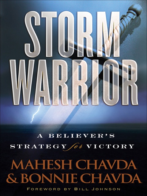 Cover image for book Storm Warrior