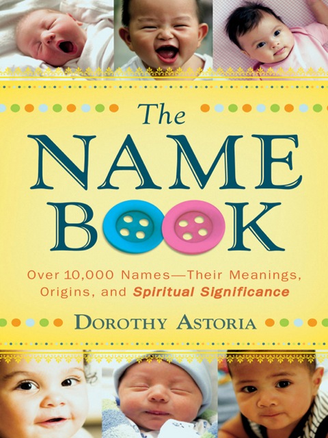 Cover image for book The Name Book