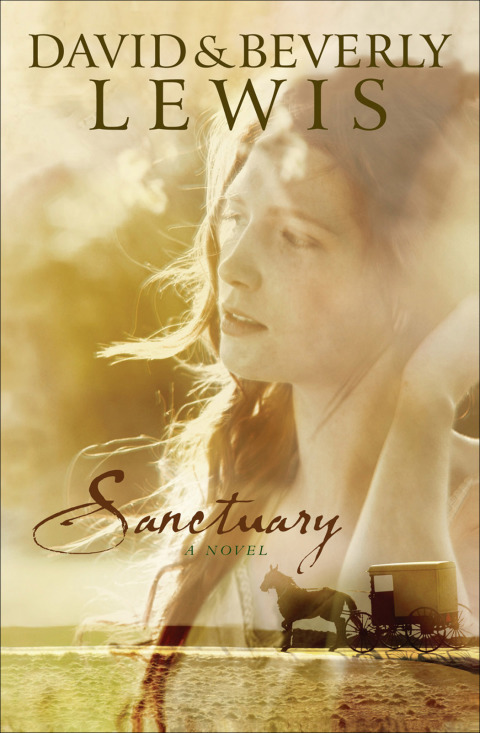 Cover image for book Sanctuary