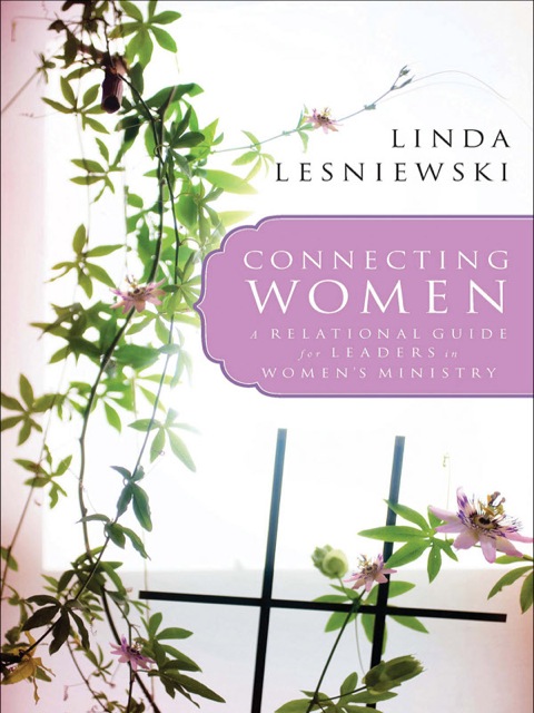 Cover image for book Connecting Women
