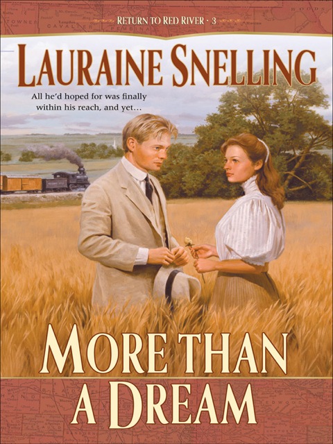 Cover image for book More Than a Dream