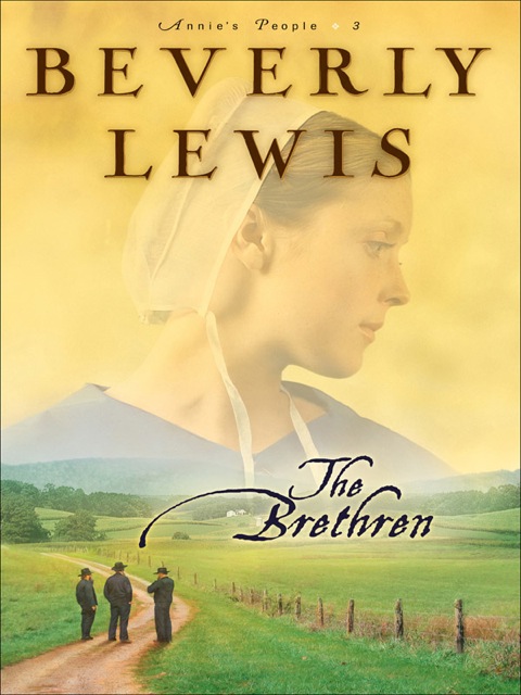 Cover image for book The Brethren
